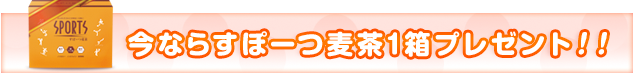 今ならすぽーつ麦茶1箱プレゼント！！