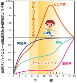スキャモンの発育曲線