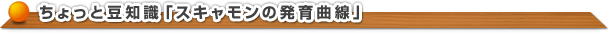 ちょっと豆知識「スキャモンの発育曲線」
