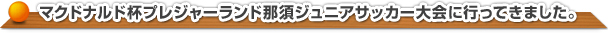 ２０１１年度マクドナルド杯プレジャーランド那須ジュニアサッカー大会