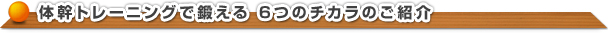 体幹トレーニング 6つの力