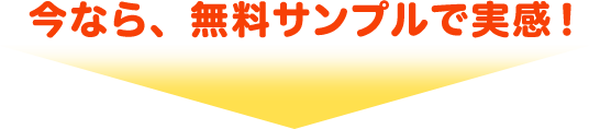 今なら、サンプルで実感